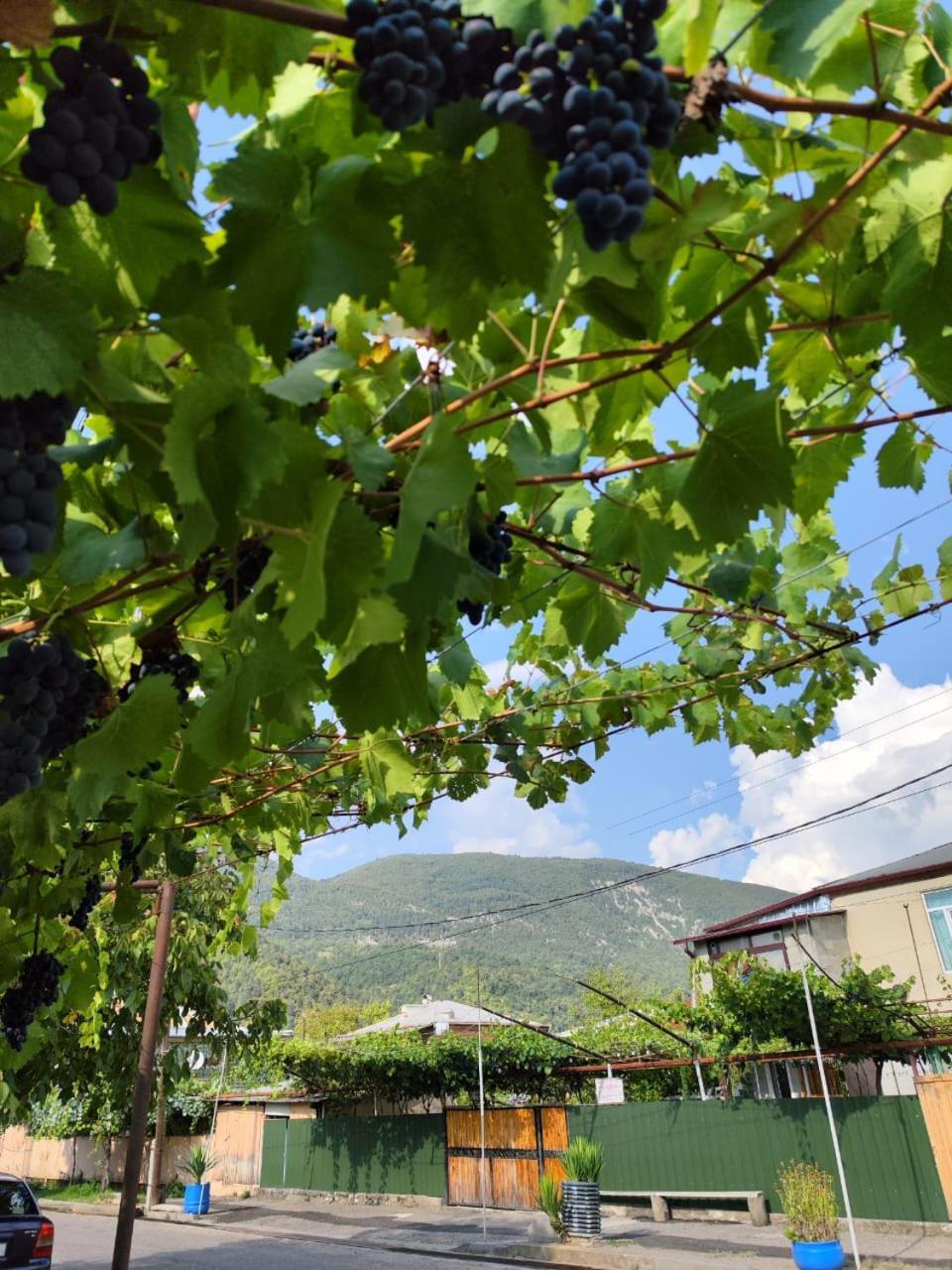 Chveni Ezo Hotel Ambrolauri Kültér fotó
