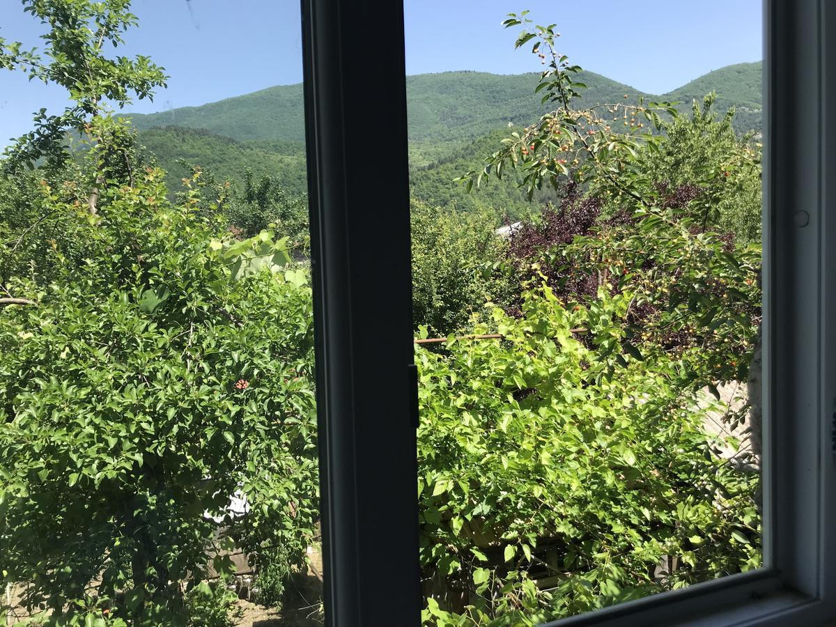 Chveni Ezo Hotel Ambrolauri Kültér fotó